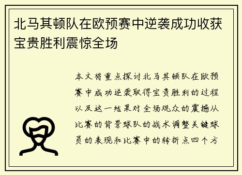 北马其顿队在欧预赛中逆袭成功收获宝贵胜利震惊全场