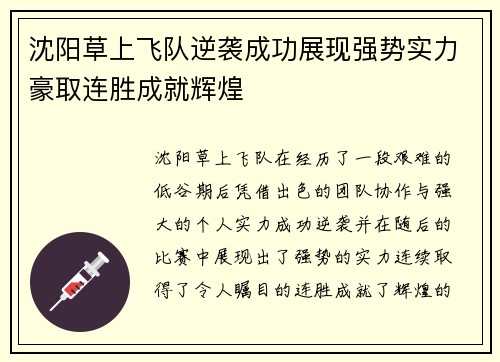 沈阳草上飞队逆袭成功展现强势实力豪取连胜成就辉煌